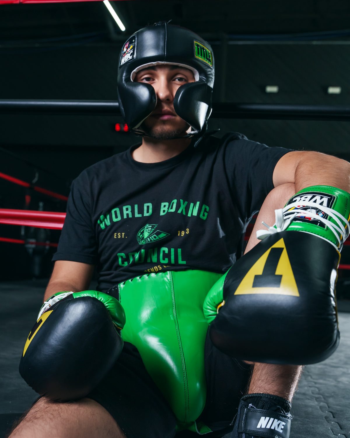 WBC by TITLE Boxing Sparring Headgear - Premium Boxing Head Protection for Training & Competition - Perfect for MMA, Kickboxing, and Martial Arts Practice