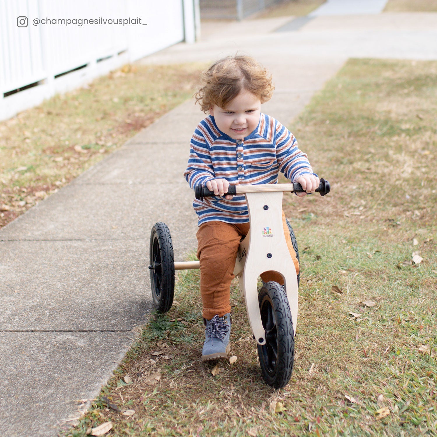 Scout 2-in-1 Balance Bike & Trike for Toddlers - Convertible Kids Tricycle to Bicycle - Perfect for Outdoor Play & Learning to Ride