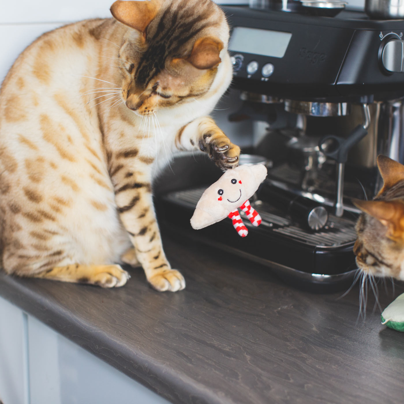 Premium Rosewood Christmas Cat Toy Duo - Interactive Brunch-Themed Catnip Toys for Kittens & Adult Cats - Perfect for Holiday Playtime & Gift Giving