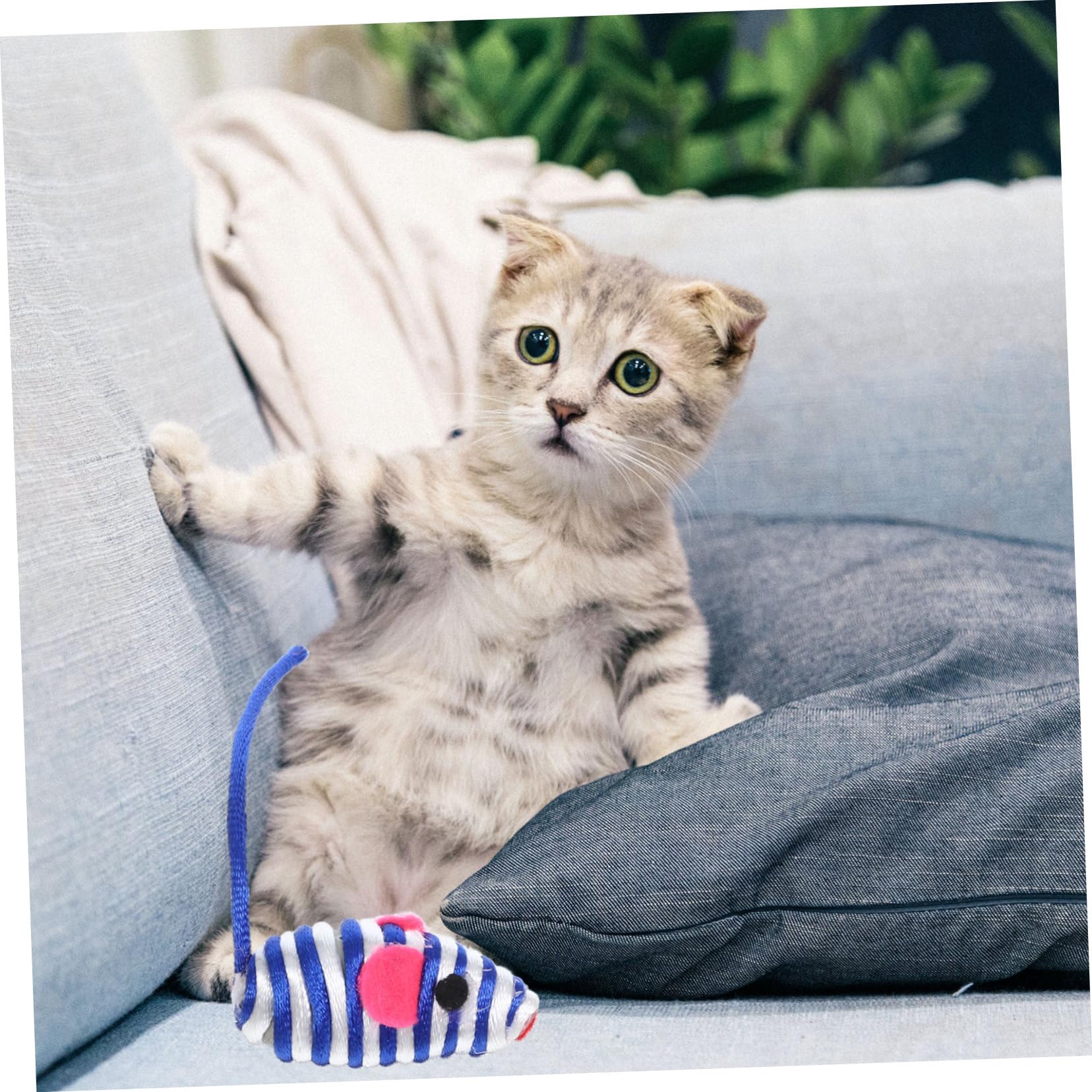 12pcs Cute Plush Cat Toys - Interactive Teasing Mice for Kittens, Chew & Bite Toys for Indoor Cats - Perfect for Playtime, Training & Stress Relief (Great for Small Spaces & Travel)
