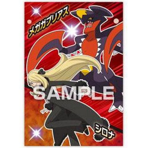 Pokemon Tournament Battle Ensky Collectible Bromide Card - Rare Trading Card for Collectors & Players | Perfect for Battles, Display & Gifts