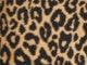 Neutral Classic Cheetah