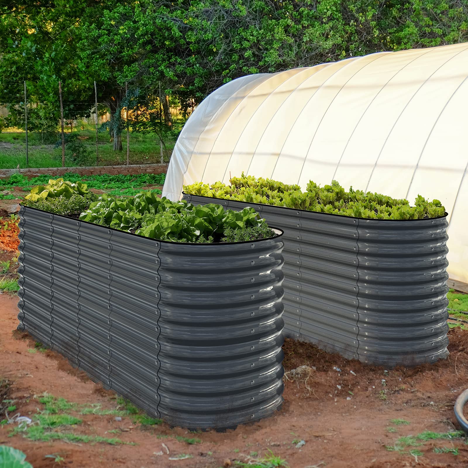 Olle 12-in-1 Raised Garden Bed Kit - 32