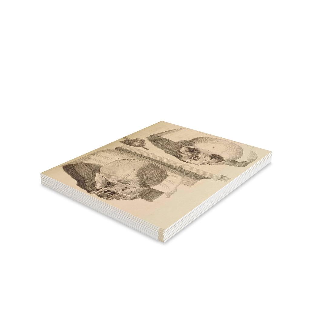 Bisected Human Skull Greeting Card Pack - 12 Unique Halloween Cards with Anatomical Design - Perfect for Halloween Parties, Medical Student Gifts & Dark Humor Enthusiasts