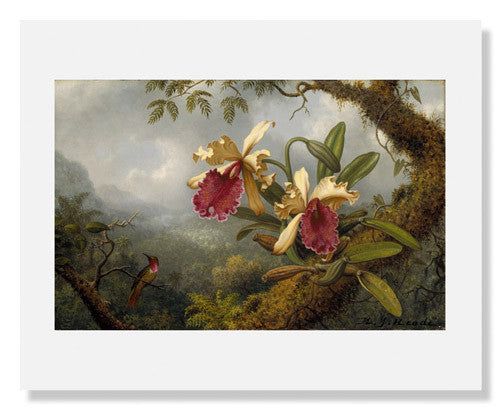 Martin Johnson Heade - Orchids and Hummingbird Painting | Fine Art Wall Decor for Living Room, Bedroom & Office | Vintage Botanical Art Print
