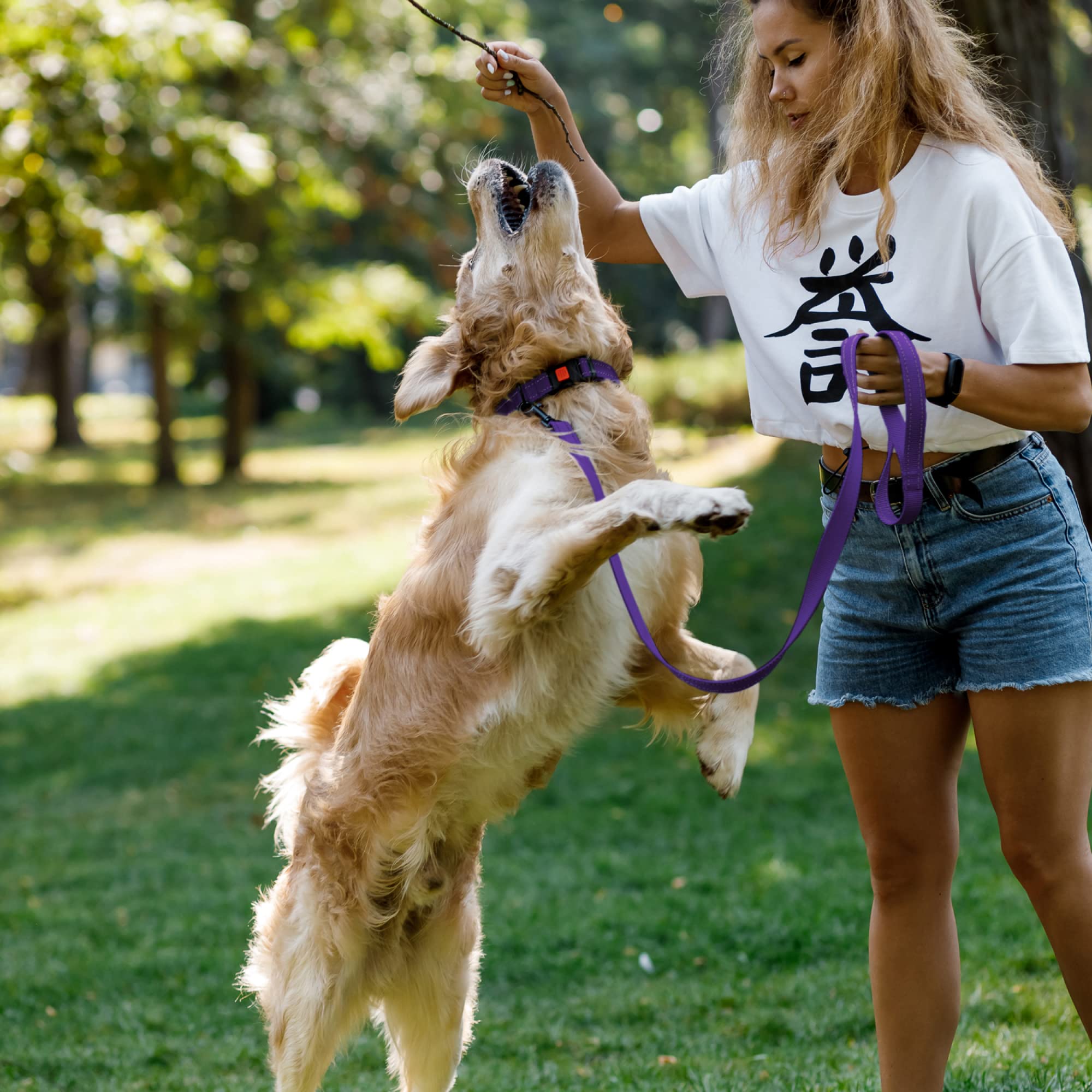 **CollarDirect Heavy Duty Nylon Dog Leash - 5ft Reflective Pet Leash for Small, Medium & Large Dogs - Durable Training & Walking Leash for Outdoor Adventures (Purple, Small) - Perfect for Daily Walks, Jogging & Obedience Training**