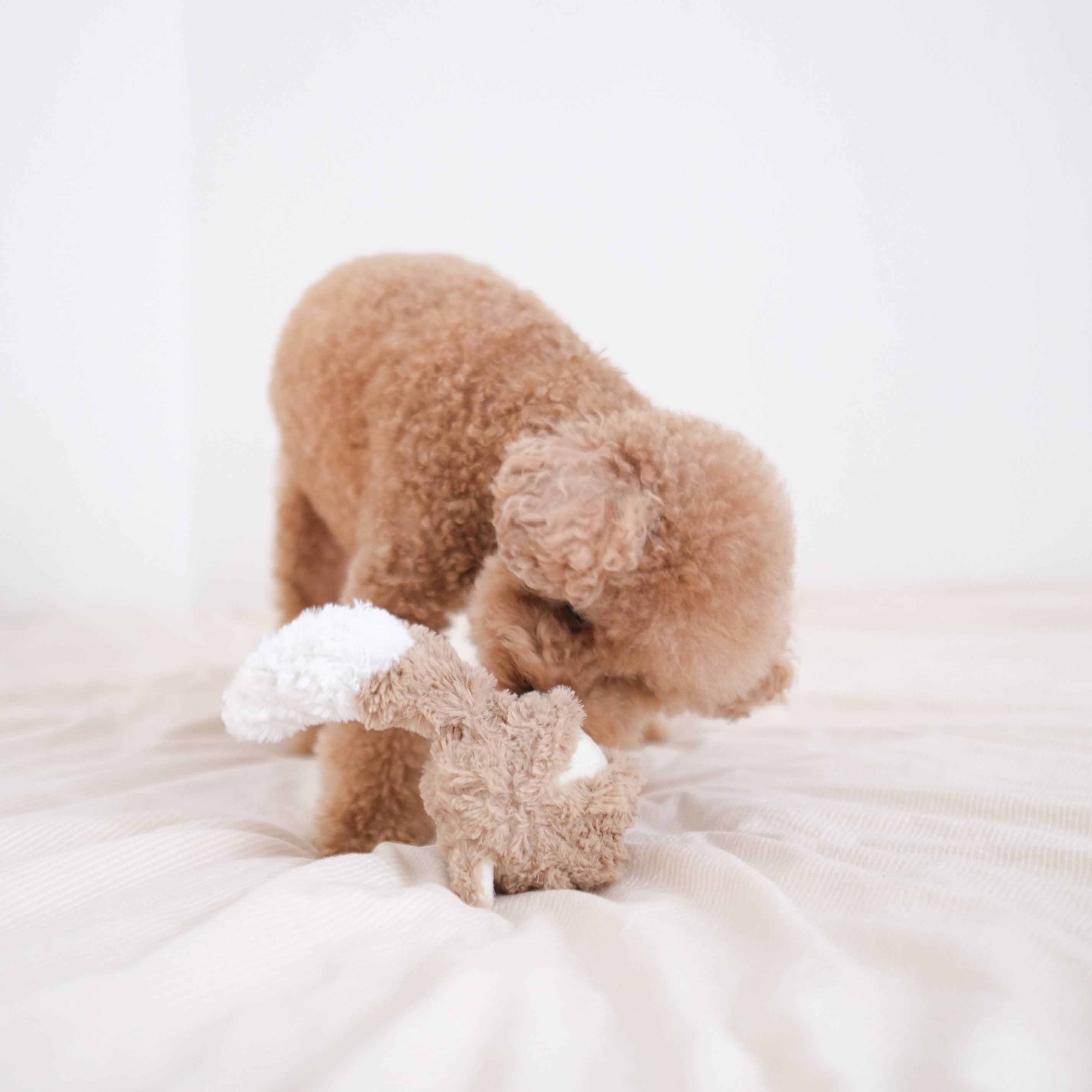 Fox Pop - Cute Animal Plush Toy for Kids, Soft Stuffed Fox for Bedroom Decor, Birthday Gifts & Nursery Room Accessories | Perfect for Cuddling, Playtime & Home Decoration