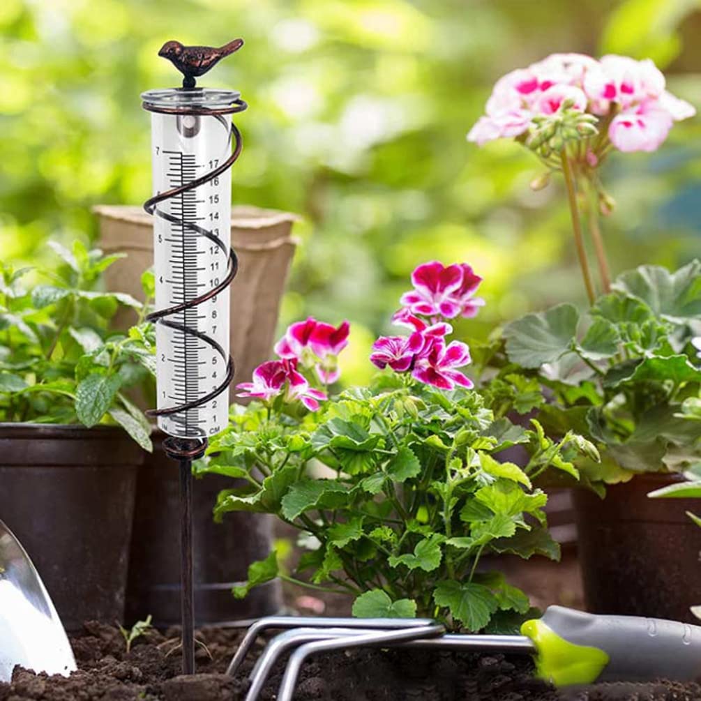 Spiral Rain Gauge with Decorative Bird - Accurate Glass Rainwater Measurement Tool for Garden & Outdoor Use | Perfect for Weather Monitoring, Gardening, and Landscaping