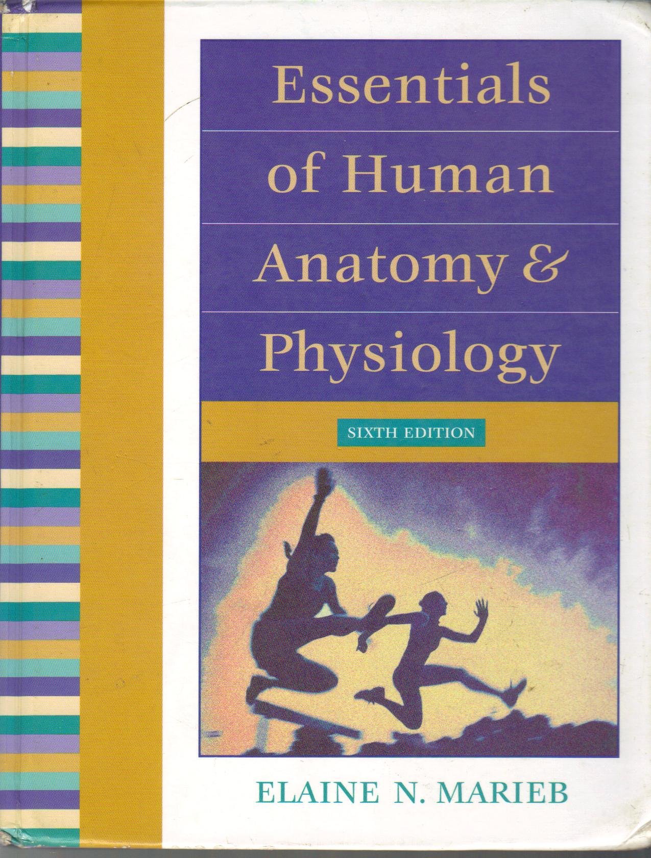Essentials of Human Anatomy & Physiology - Comprehensive Textbook for Medical Students & Healthcare Professionals | Perfect for Classroom Study, Exam Prep & Clinical Reference