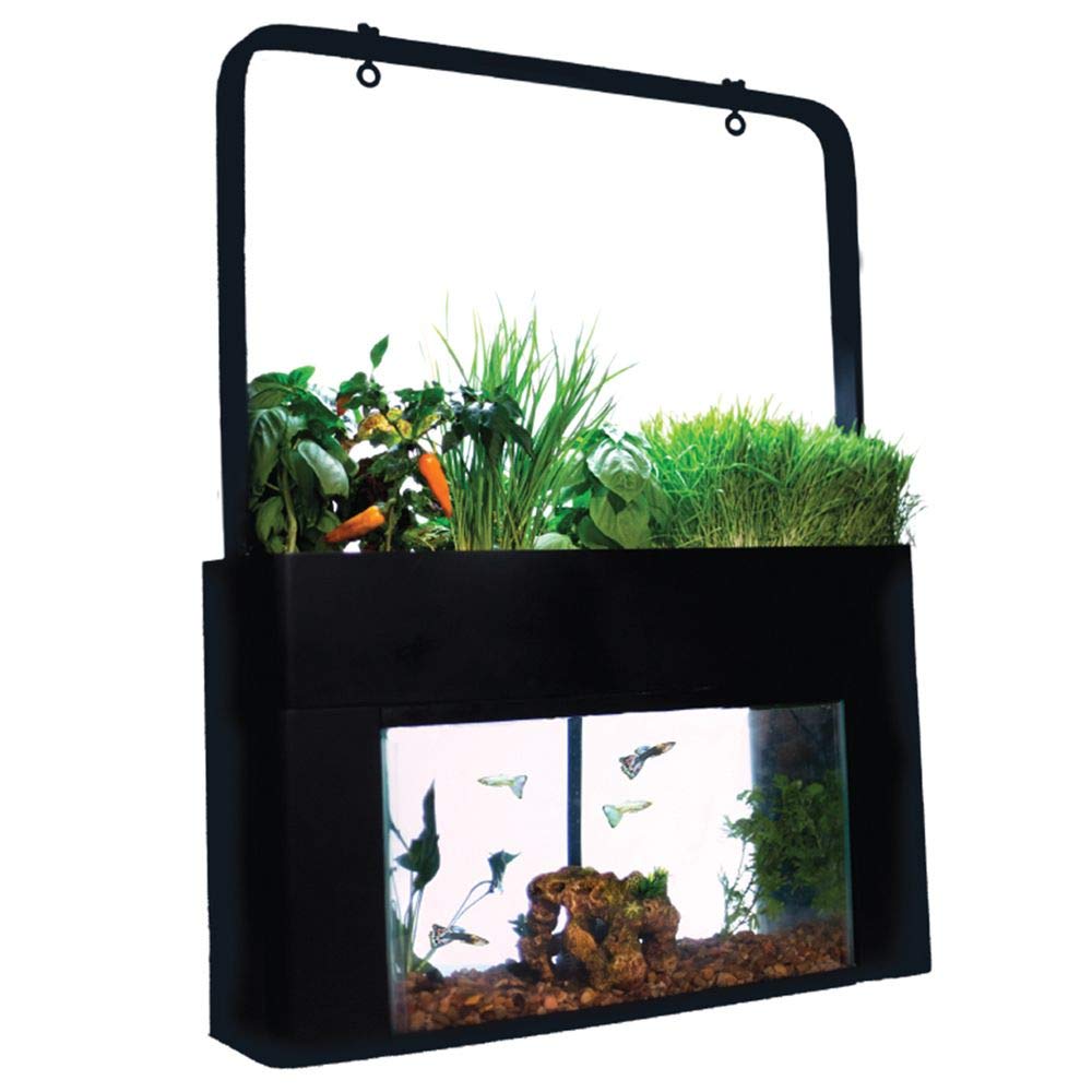 Aquasprouts Hydroponic Garden Kit - Complete Nutrient Cycling System for Indoor Herb & Vegetable Growing - Perfect for Home, Kitchen, and Classroom Hydroponics