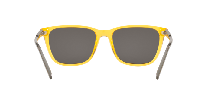 Arnette Cortex AN4291 27716G Sunglasses - Polarized Sports & Driving Shades for Men & Women - UV Protection for Outdoor Activities