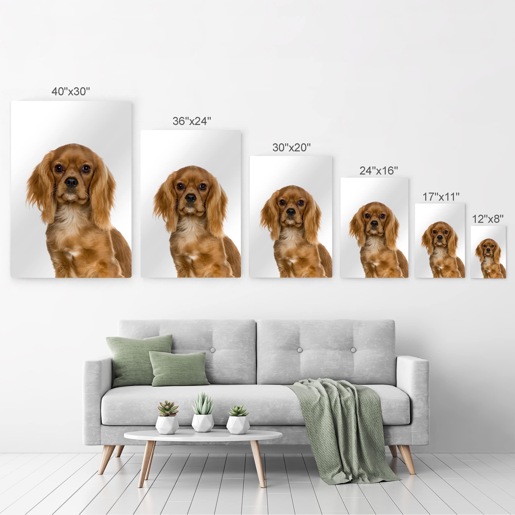 Cavalier King Charles Spaniel Dog Portrait Metal Wall Art - Pet Lover Gift for Mom, Dad, Dog Owners - 40x30 Inch Home Decor for Living Room, Bedroom, Nursery - Made in USA | Perfect for Housewarming, Birthday & Holiday Presents