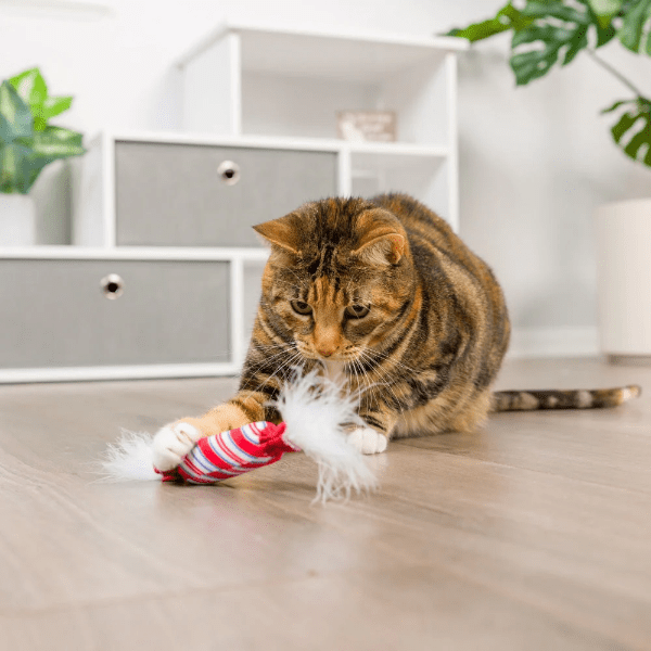 Huxley & Kent Lit Donut & Peppermint Candy Cat Toy - Interactive Play for Kittens, Fun Chew Toy for Indoor Cats, Perfect for Playtime and Training
