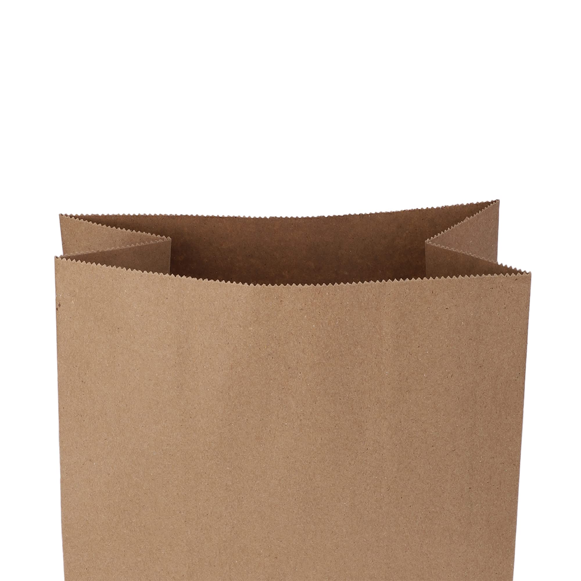 Eco-Friendly Brown Kraft Paper Bags - 10x5x14 Inches, Pack of 15 | Recycled Carry/Gift/Grocery Bags for Shopping, Parties & Sustainable Packaging