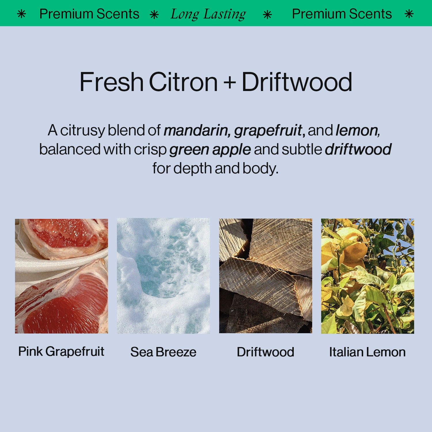 OffCourt - Fresh Citron & Driftwood Scented Deodorant Body Spray (2 Pack) and Body Wash Set for Men | Long-Lasting Fragrance, All-Day Freshness | Gym, Workout, Office & Daily Use