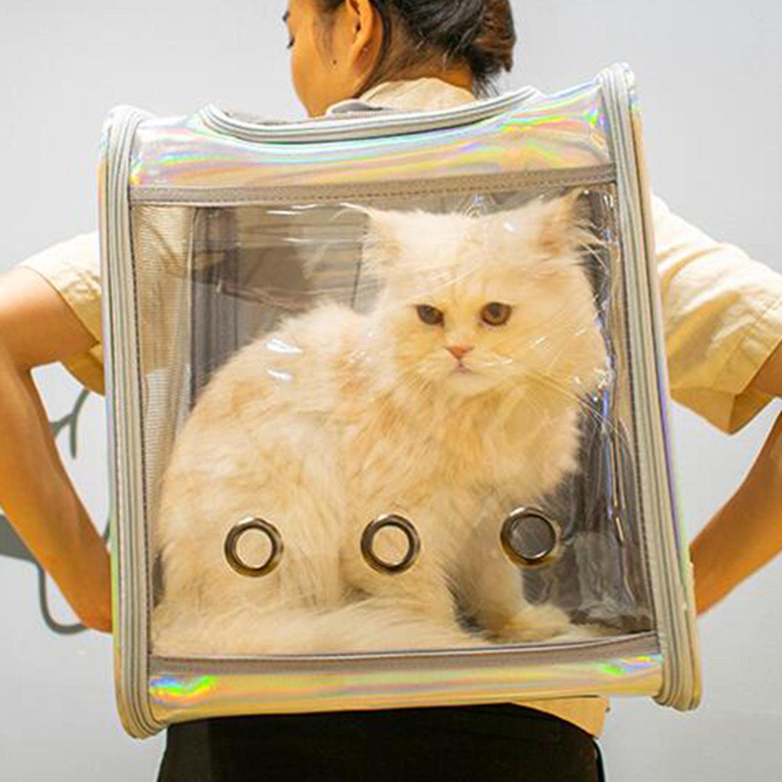 Clear Large Pet Carrier Bag for Cats & Small Dogs - Breathable Transparent Travel Carrier for Walking, Vet Visits & Outdoor Adventures