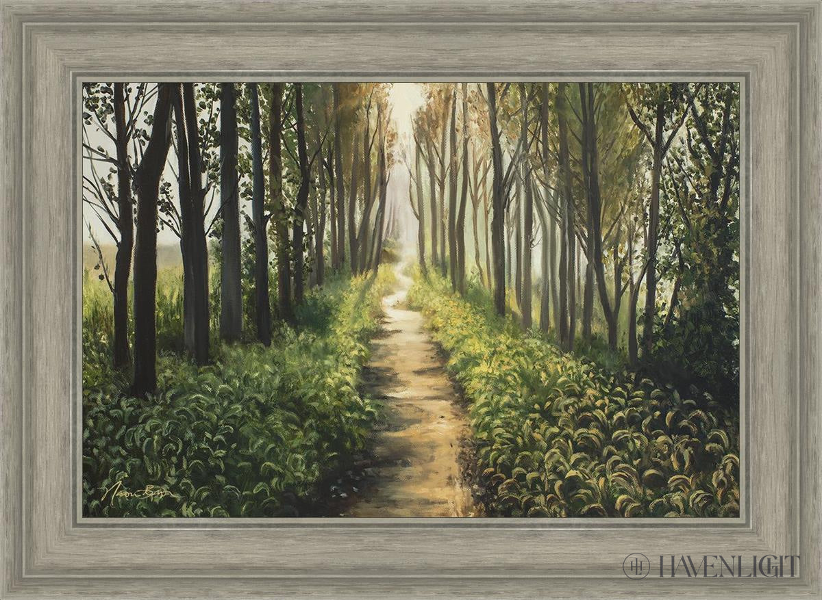 Forest Walkway - Beautiful Wooden Pathway for Gardens, Parks & Trails | Perfect for Outdoor Decor & Nature Walks