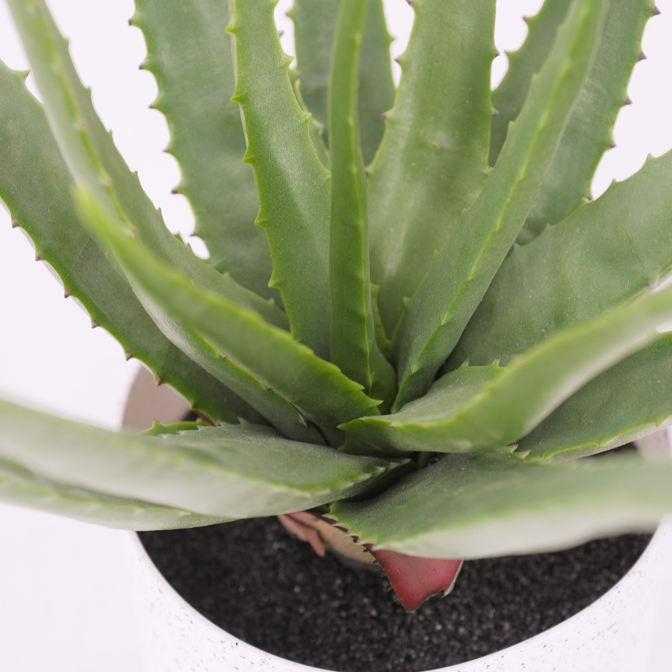 Realistic Artificial Aloe Vera Plant - 18 Inch Fake Succulent for Home Decor, Office Desk, or Wedding Centerpiece - Low Maintenance Indoor Greenery