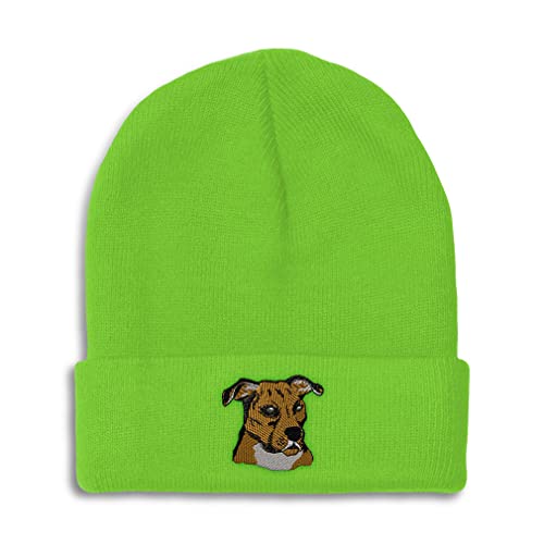 Lime Design Only