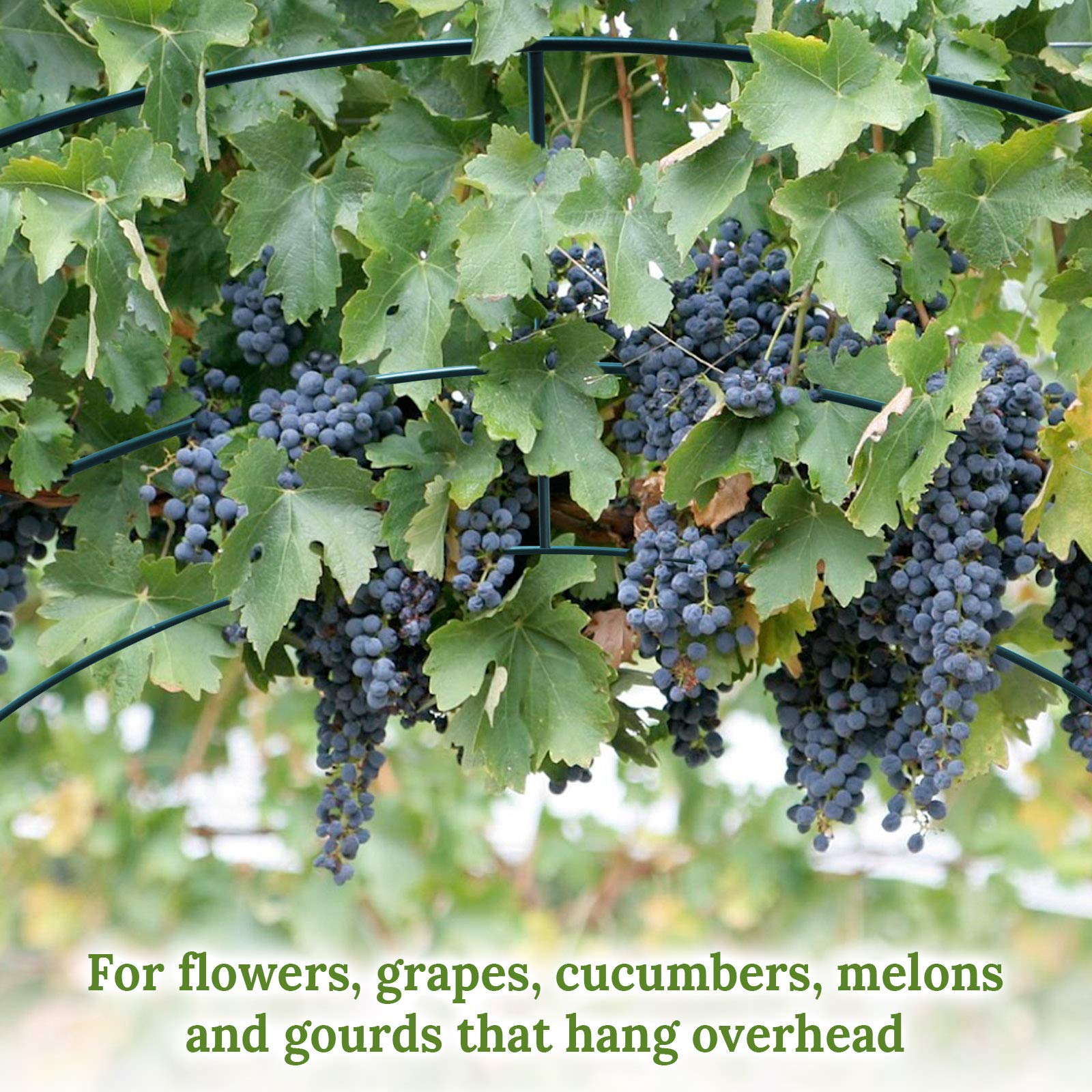 BenefitUSA 8.2x7x7.2ft Heavy Duty Garden Trellis for Climbing Plants, Flowers & Vegetables - Rust-Resistant Metal Plant Support Arch with Multi-Use Design - Perfect for Outdoor Gardens, Vineyards & Backyard Decor