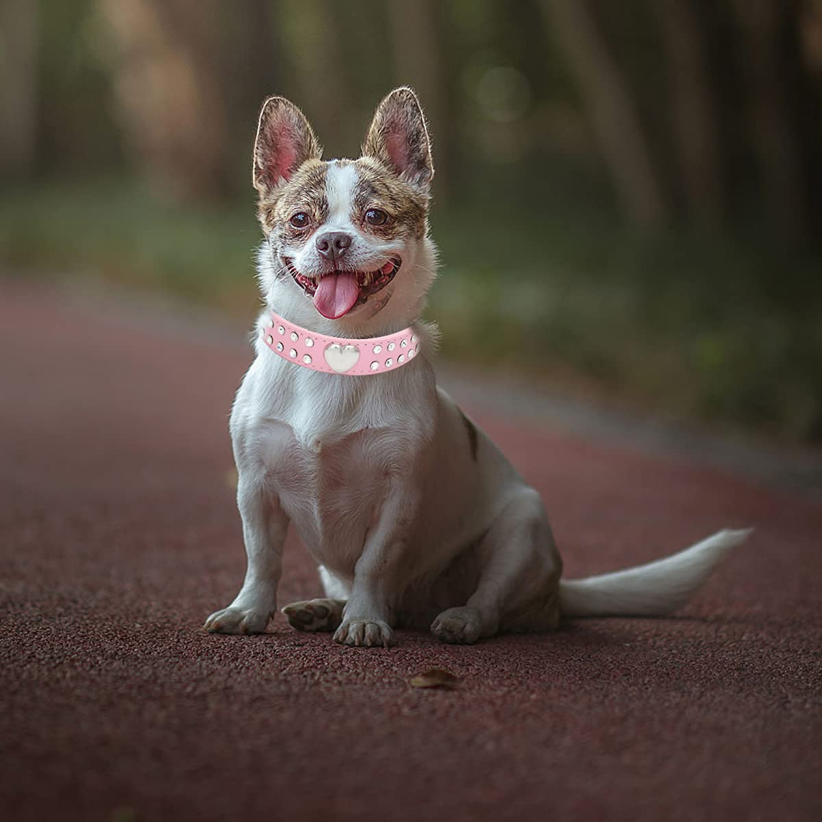 Sparkling Rhinestone Heart Studded Leather Dog Leash & Collar Set - Pink Medium Size for Small to Medium Dogs | Perfect for Walks, Pet Fashion & Special Occasions