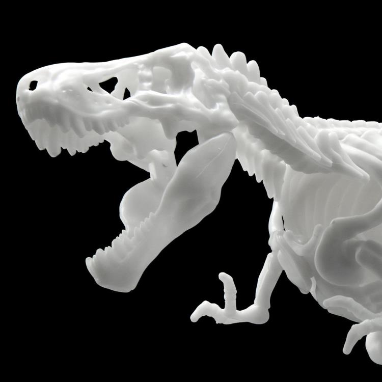 Bandai Dinosaur Limex Skeleton Tyrannosaurus Rex Model Kit - Build Your Own T-Rex Dinosaur Fossil Replica for Collectors & Science Enthusiasts | Perfect for Home Decor, Classroom Display & Dinosaur Lovers