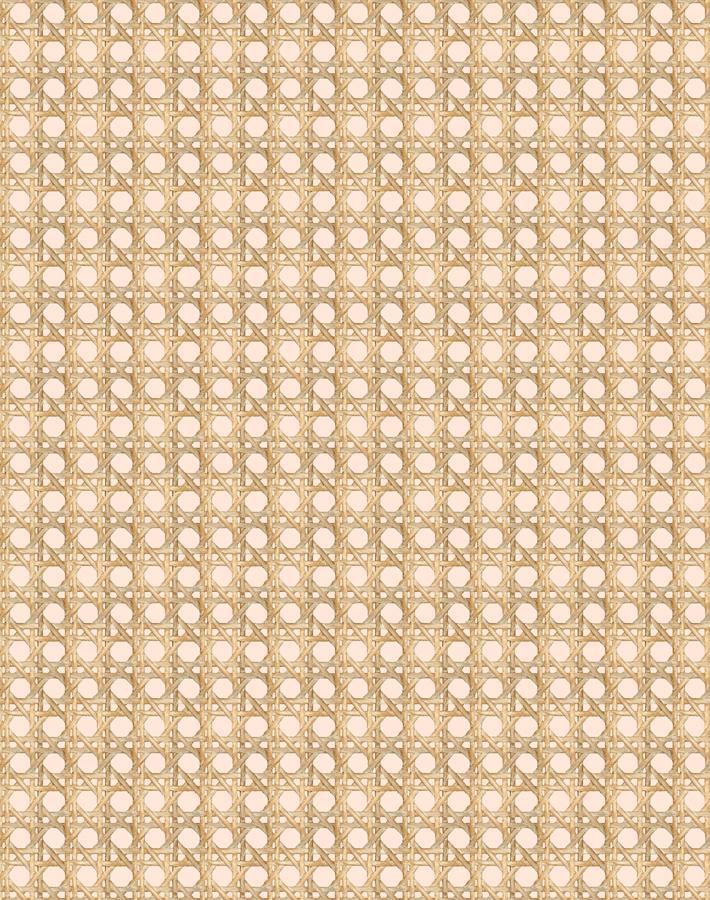 Wallshoppe Faux Caning Wallpaper - Peach Textured Peel and Stick Wallpaper for Bedroom, Living Room, and Bathroom Decor