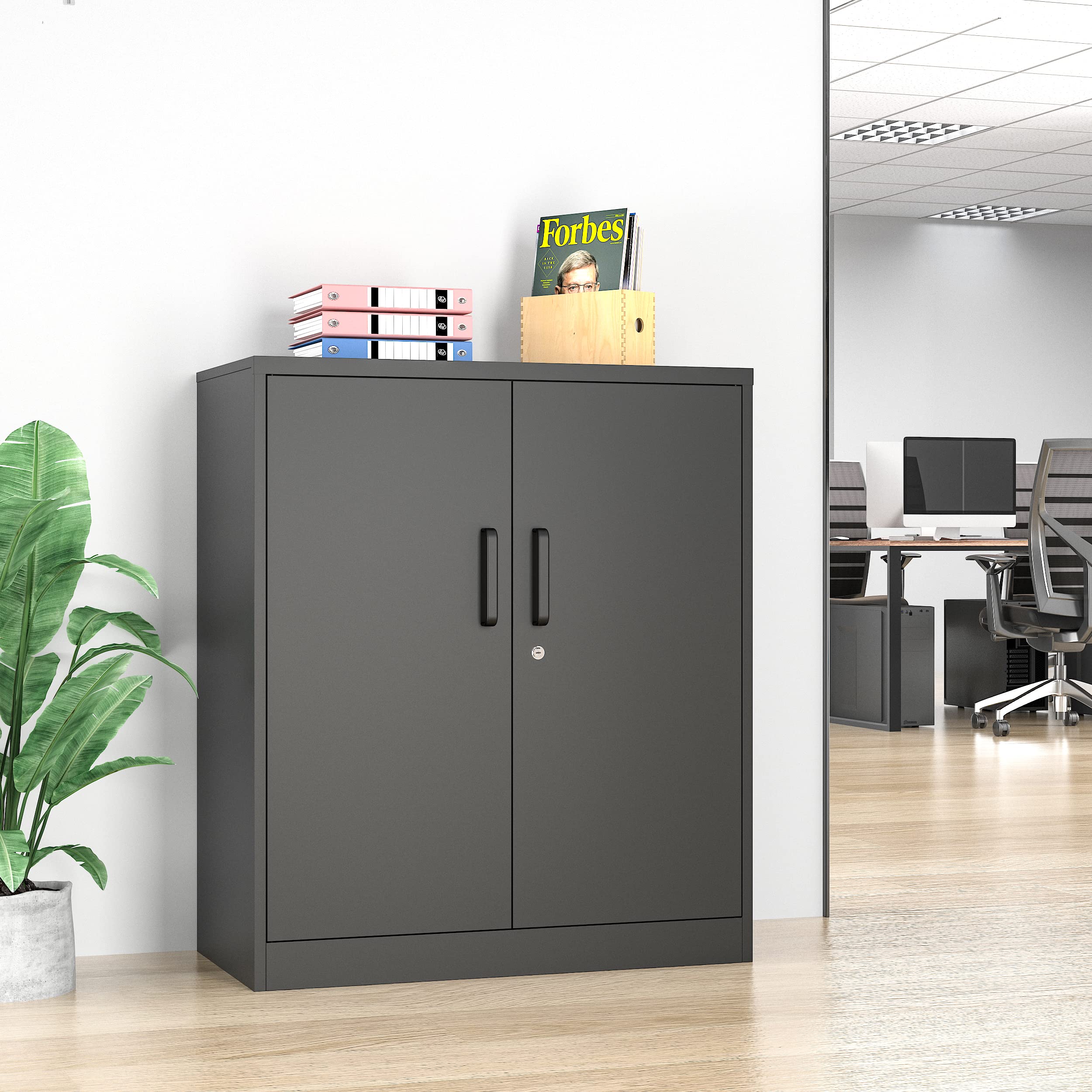 Lockable Metal Storage Cabinet with 2 Adjustable Shelves - Black Steel Office & Tool Cabinet for Home, Garage, Hallway | Secure Storage for Documents, Tools & Supplies