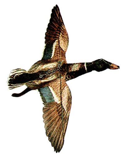 Realistic Mallard Drake Duck Decoy for Hunting & Waterfowl Decoys - Lifelike Floating Duck Decoy for Duck Hunting, Pond Decoration & Outdoor Wildlife Photography