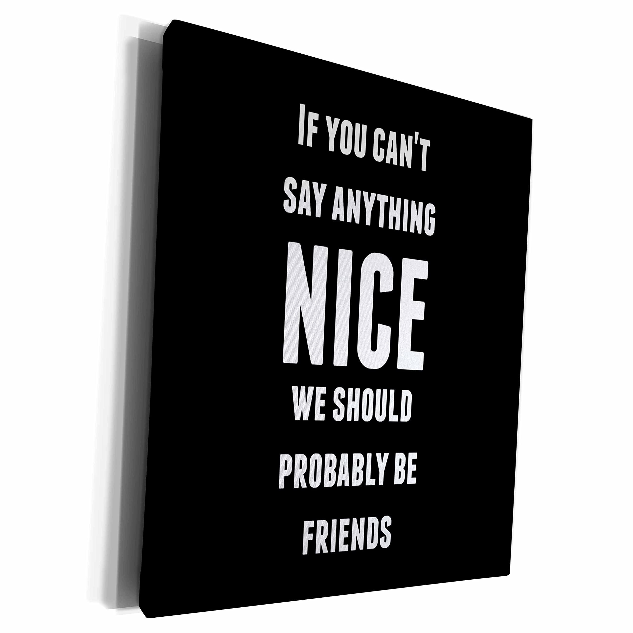 3dRose Museum Grade Canvas Wrap - Funny Quote 'If You Can't Say Anything Nice We Should Probably Be Friends' - Perfect for Home, Office & Gift Giving