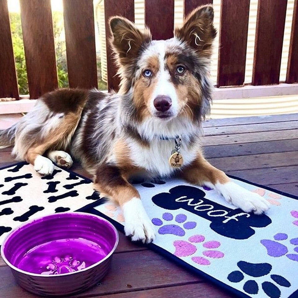 Woof with Multi Paws Fashion Mat - Non-Slip Pet Feeding Mat for Dogs & Cats, Waterproof Easy Clean Floor Mat for Food & Water Bowls - Perfect for Kitchen, Laundry Room or Pet Feeding Area