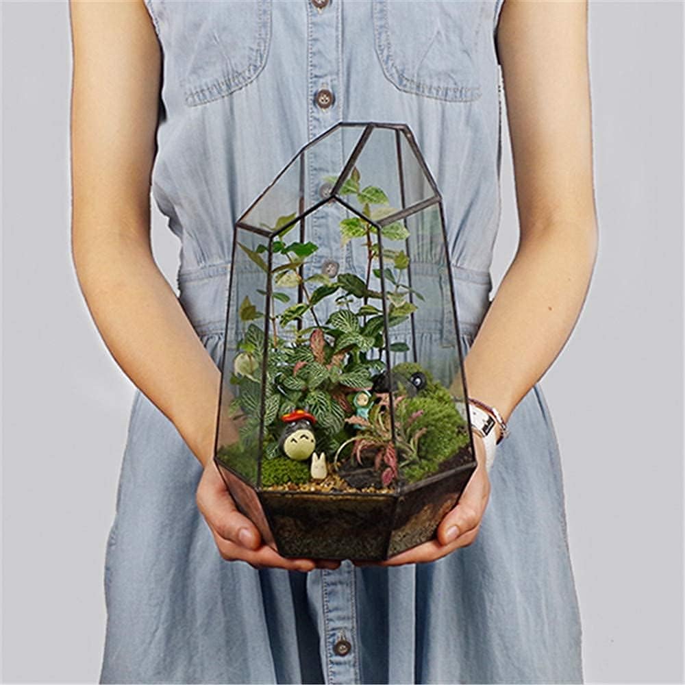 Geometric Glass Terrarium Planter for Cacti & Succulents - Irregular Tabletop Container (6.5x5.7x9.8 Inches) - Modern Home, Office & Garden Decor - Perfect for Indoor Plants, Desk Decor & Gift Ideas