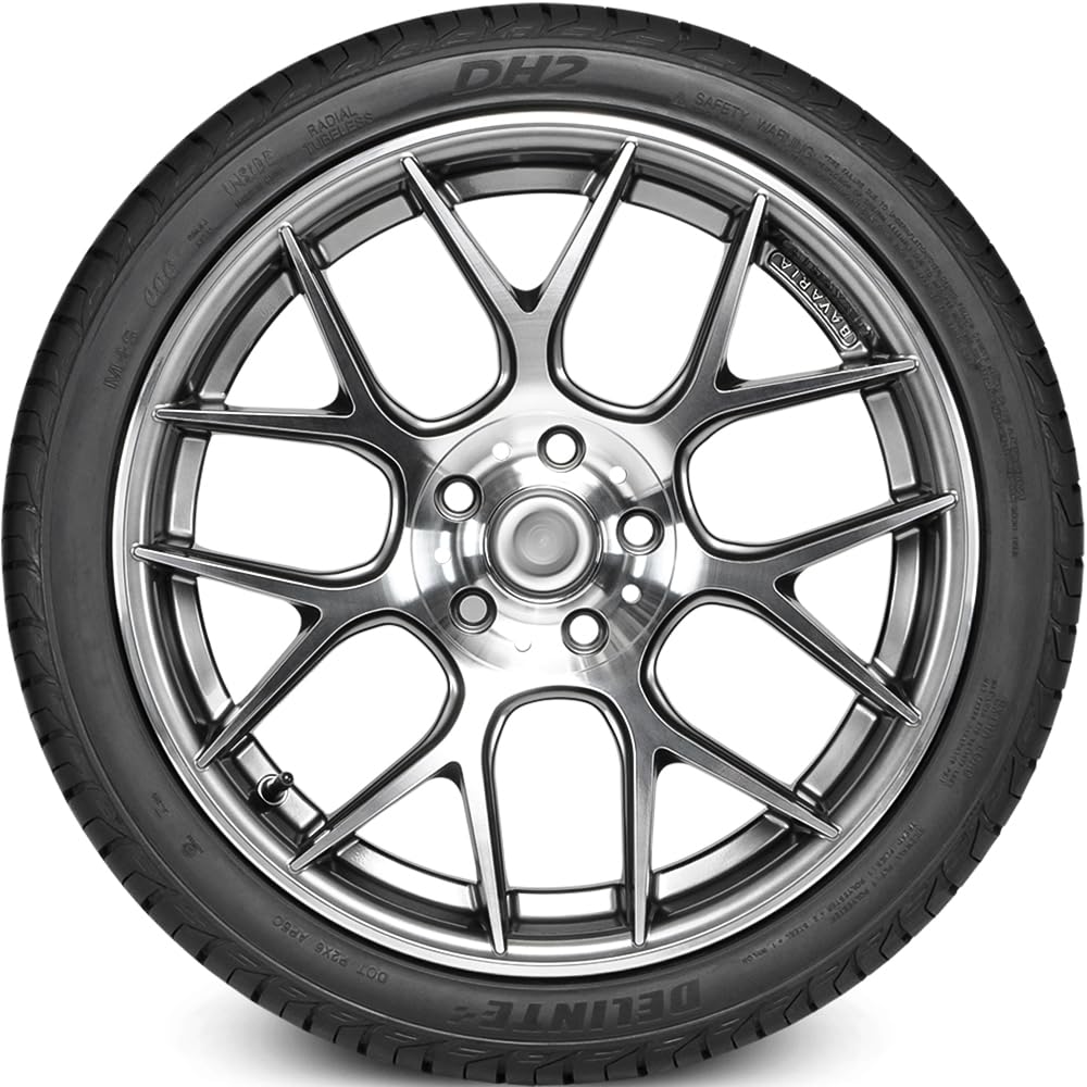 Delinte DH2 Touring Radial Tire - 225/65R16 100H All-Season High Performance Car Tires for Smooth Ride & Long Mileage | Perfect for SUVs, Sedans, and Highway Driving