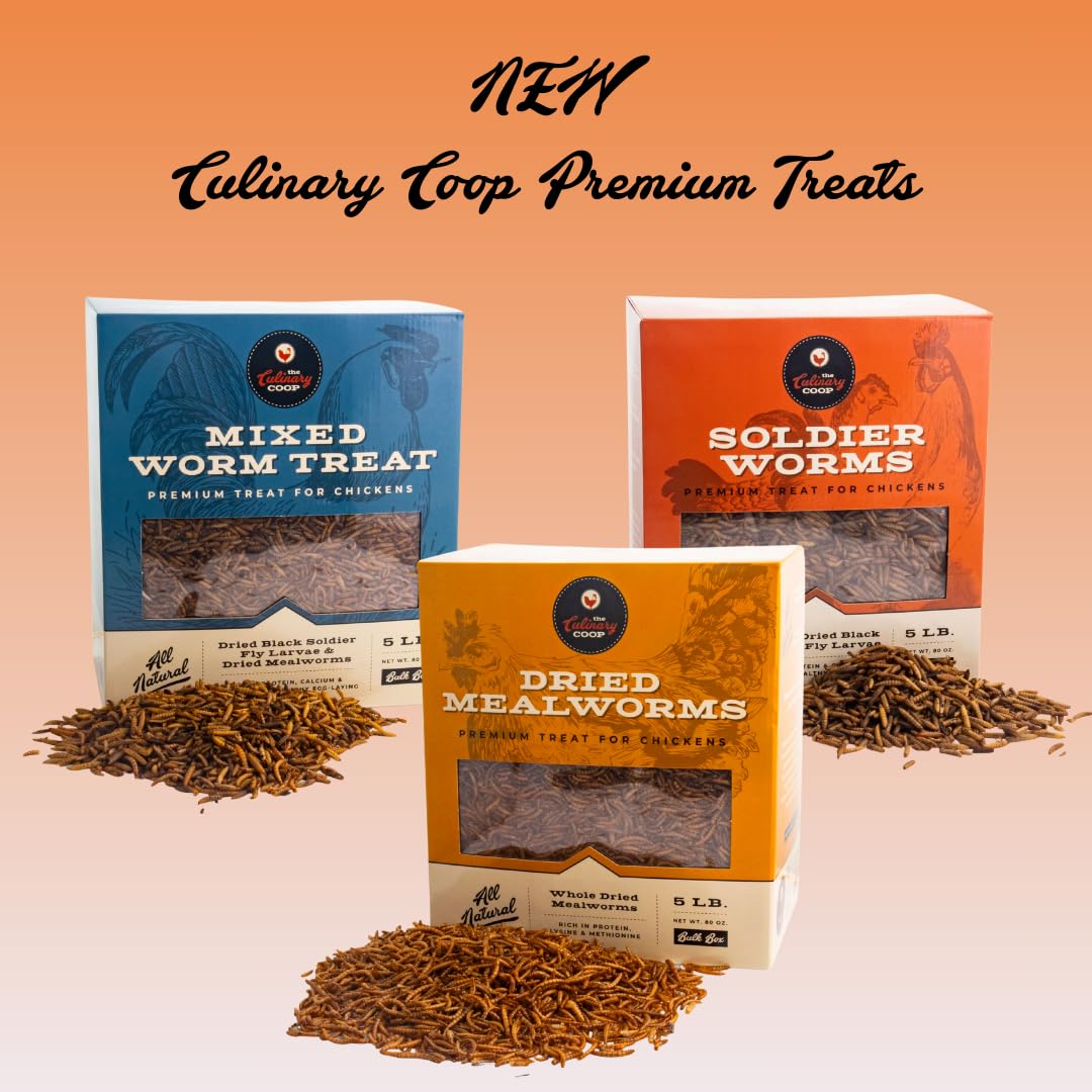 Fluker's Culinary Coop Premium High-Protein Dried Mealworms - 10lb Bulk Chicken Treats for Birds & Reptiles | Nutritious Pet Food Supplement for Backyard Chickens, Wild Birds & Exotic Pets