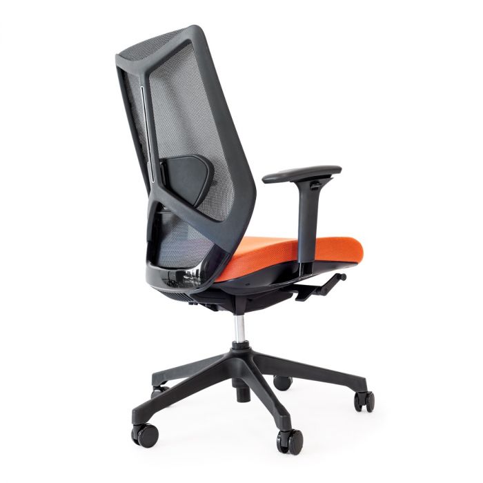 Friant Ignite Mesh Task Chair FD00253 - Ergonomic Office Chair with Adjustable Height & Lumbar Support for Home & Office Workspaces