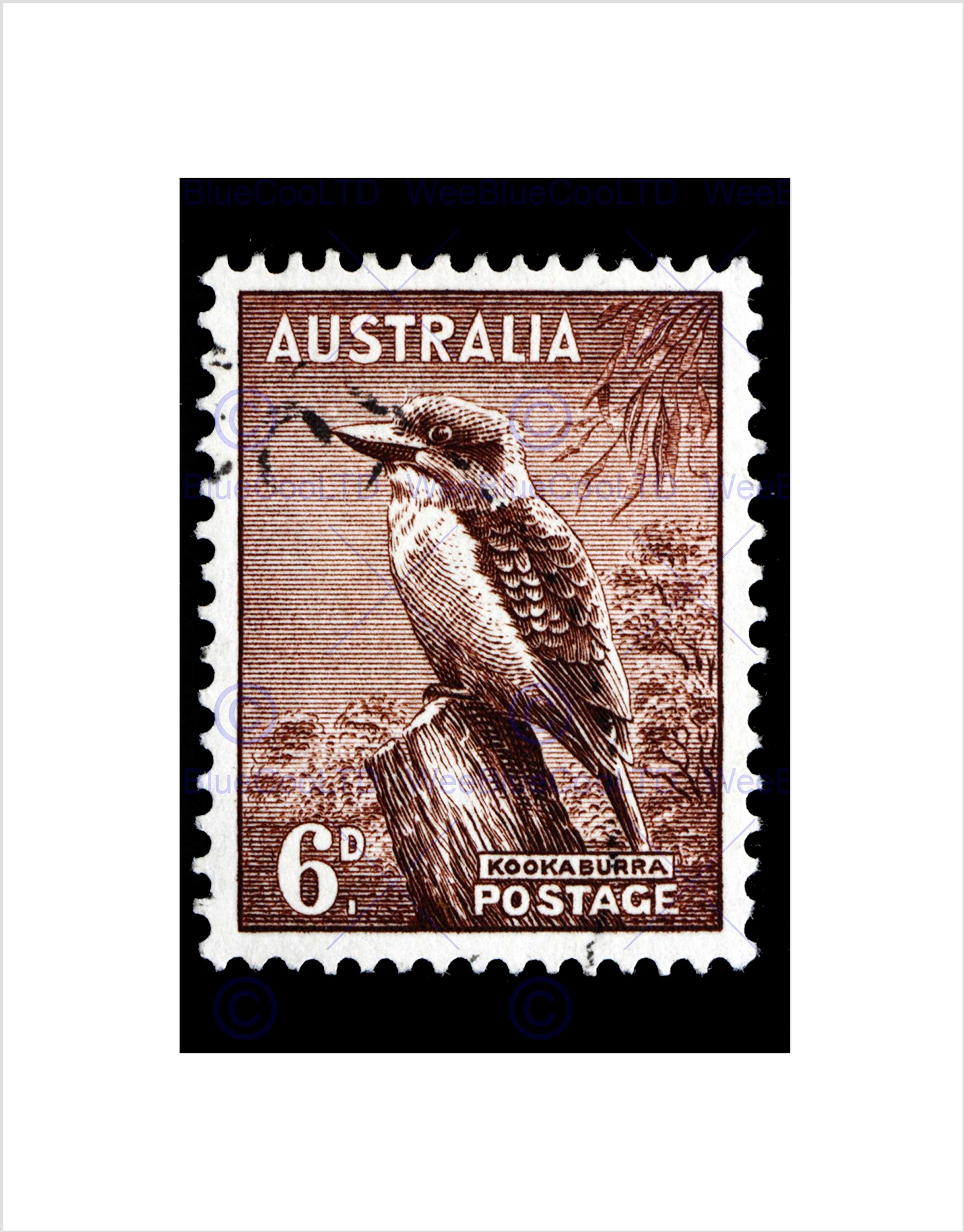 Authentic Australia Kookaburra Bird Art Print Picture - Premium Stamp Collectible B12X8911 - Perfect for Home Decor, Gift Ideas & Stamp Collectors