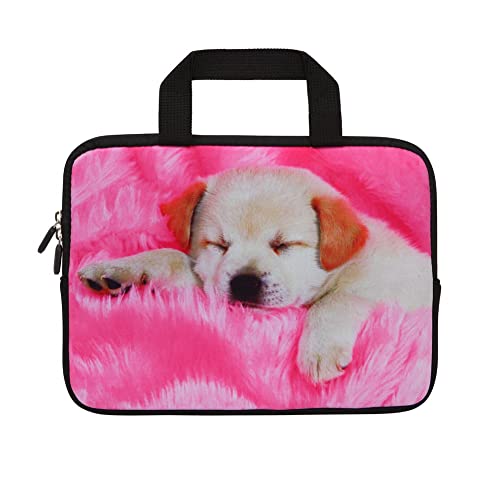 Cute Dog