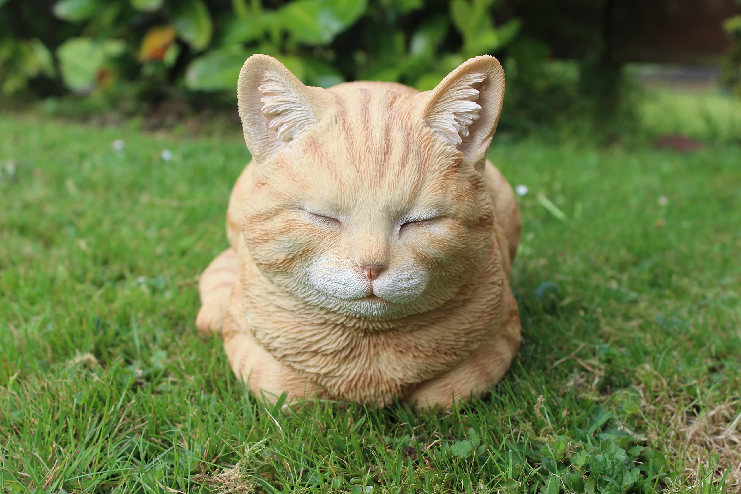 Ginger Dreaming Cat Resin Ornament - Handmade Home Decor for Cat Lovers | Perfect for Bookshelves, Desks & Gift Giving