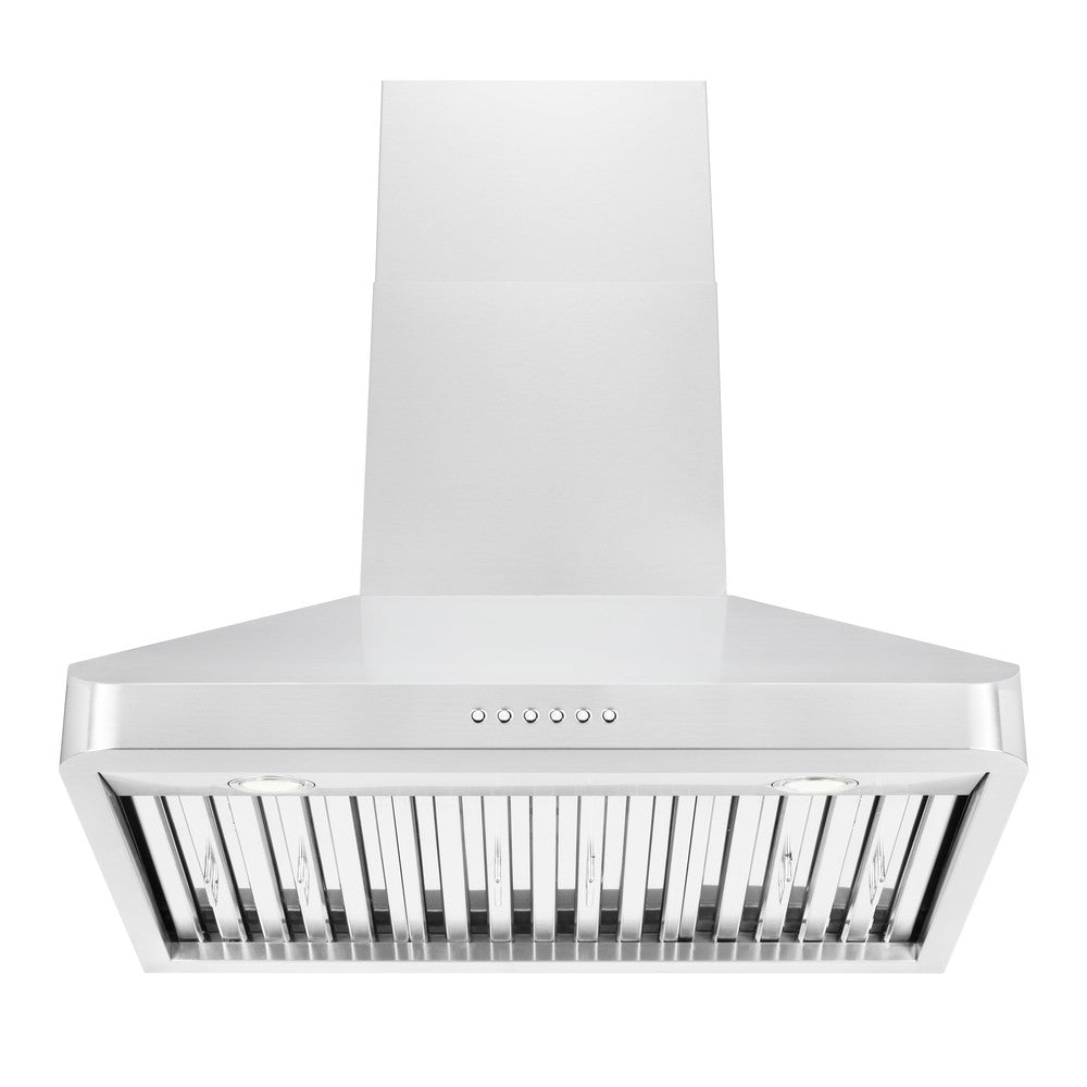ZLINE ALP100WL Alpine Series 30