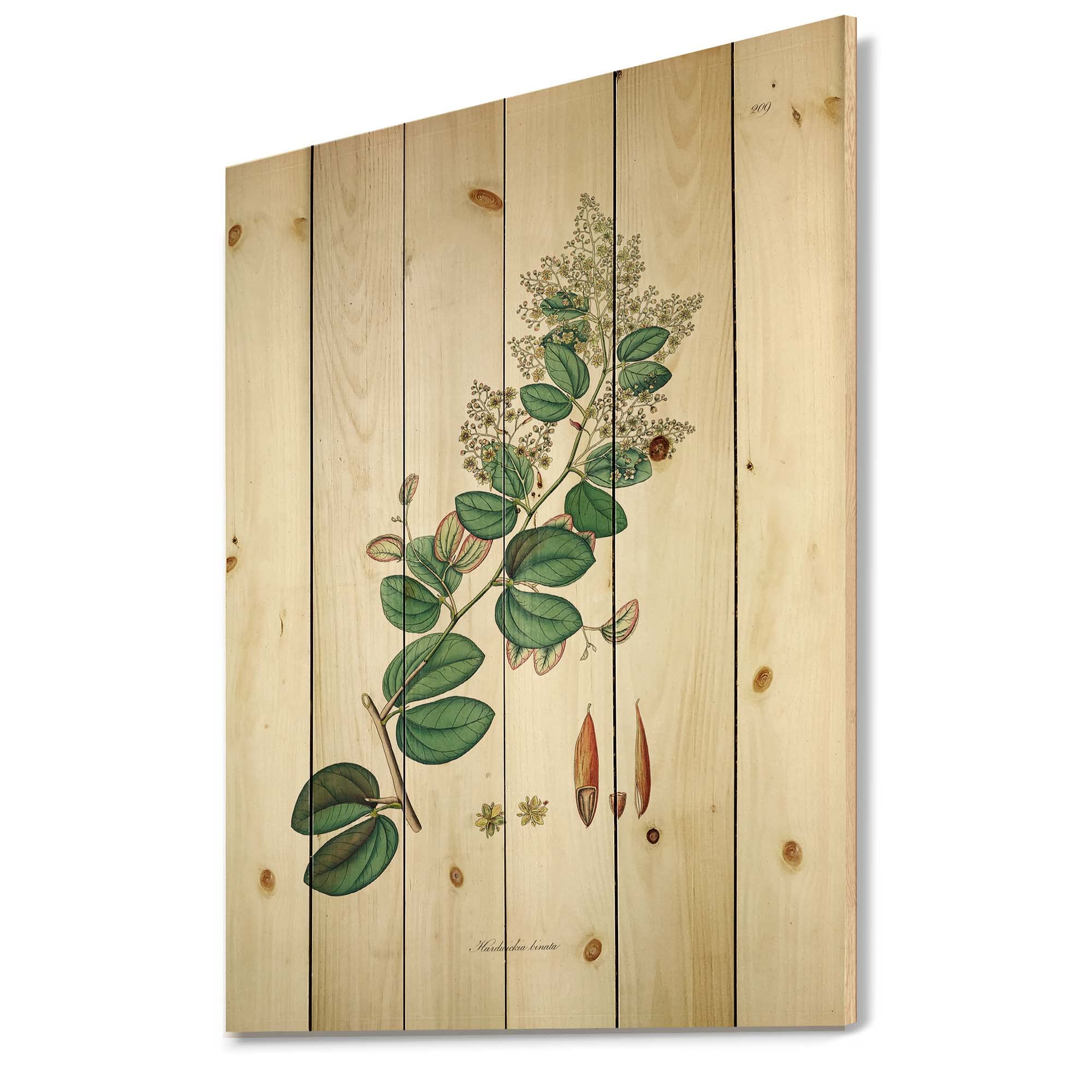 Vintage Botanicals Farmhouse Wood Wall Decor - Large Floral Wall Art Panels Printed on Natural Pine Wood - Green Wooden Wall Hanging for Living Room, Bedroom & Home Office Decor
