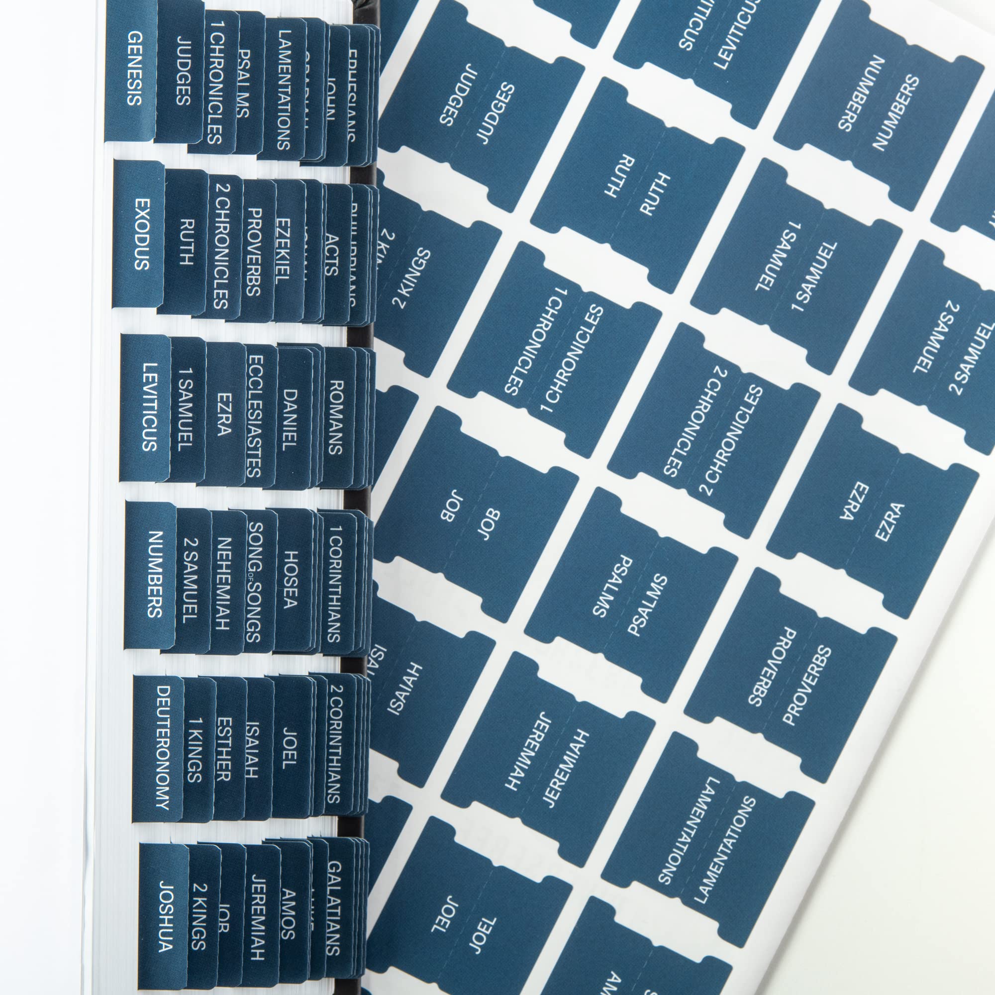 DIVERSEBEE Large Print Laminated Bible Tabs - Easy to Apply Bible Study Accessories for Women | Perfect for Scripture Journaling, Church Services & Personal Devotion