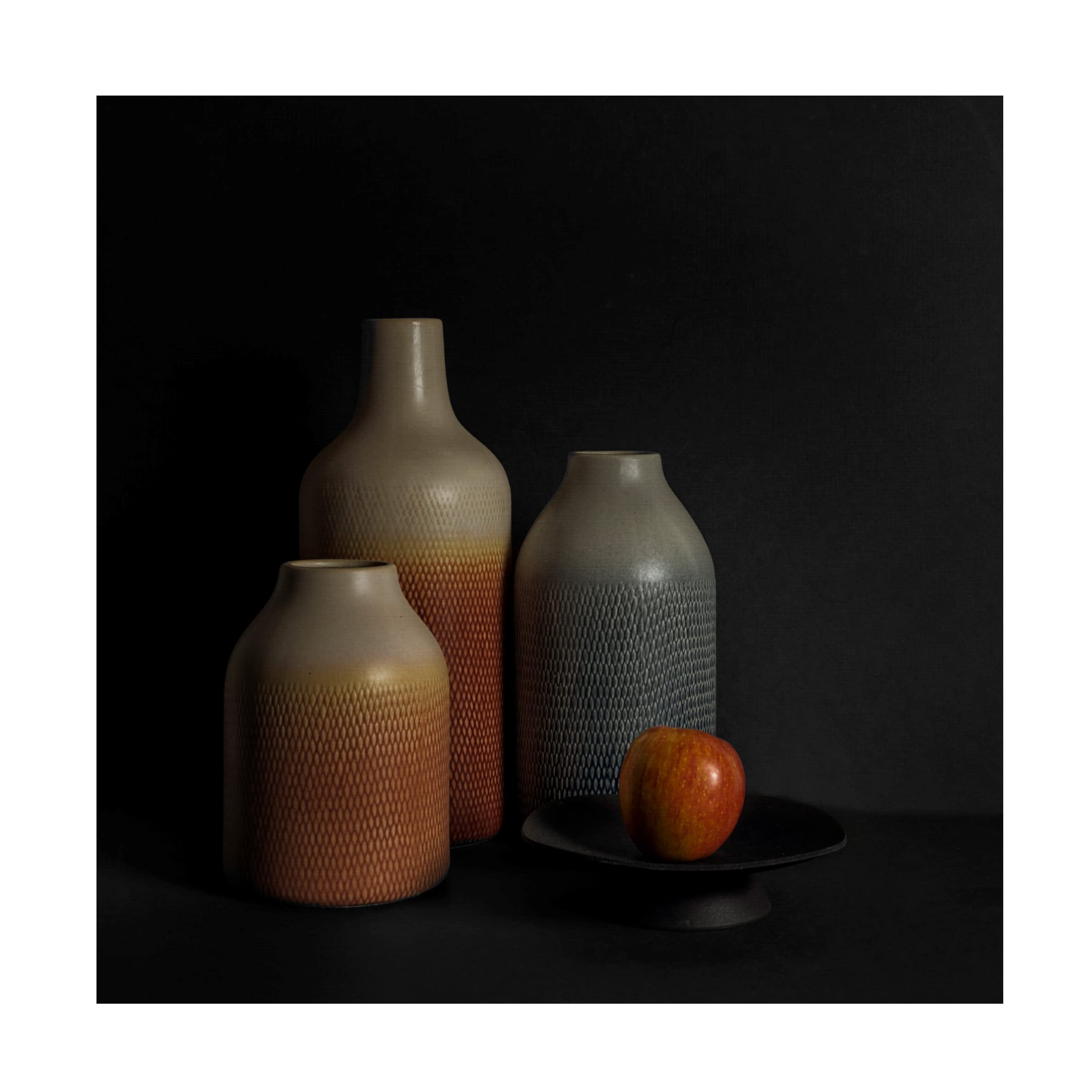 John Mei Zhong 'Bottles And An Apple' Canvas Wall Art Print - Modern Home Decor for Living Room, Bedroom & Office - Trademark Fine Art Collection