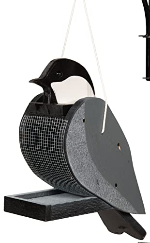 Chickadee