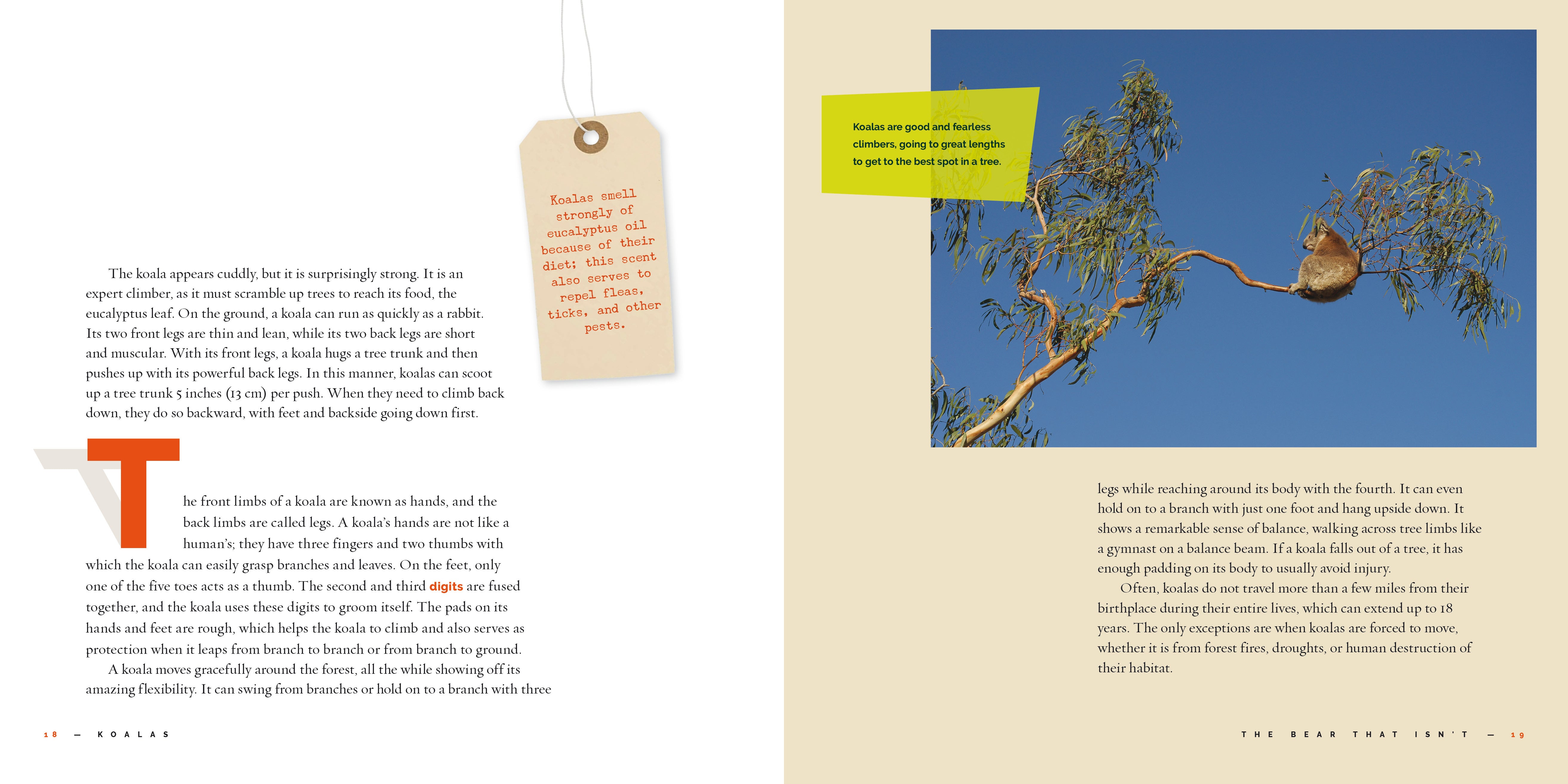Koalas Book 9781640266032 - Learn About Koalas, Their Habitat, and Conservation - Perfect for Animal Lovers and Educational Use
