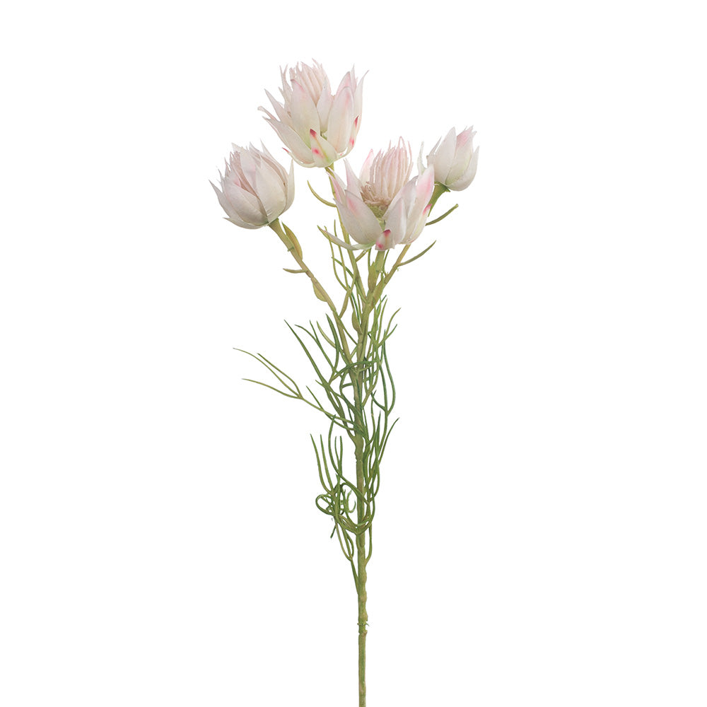 Elegant Blushing Bride Cream Pink Dress – Perfect for Weddings, Bridal Showers & Romantic Events