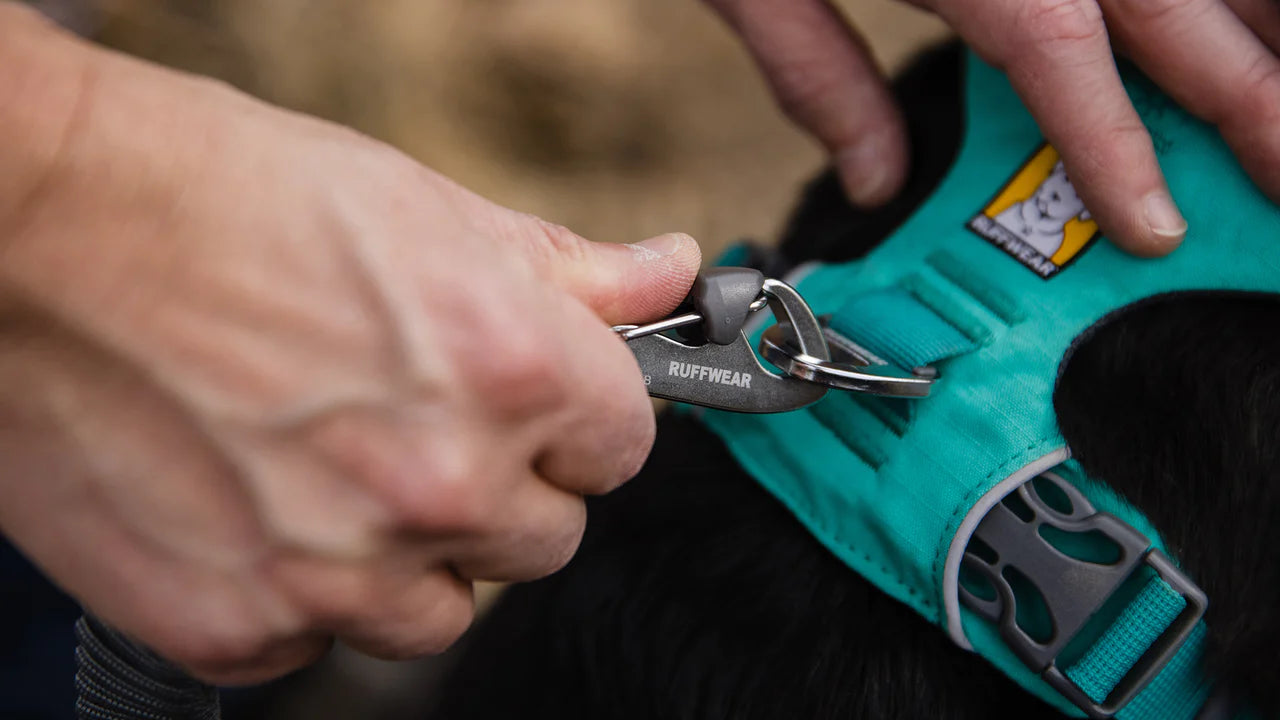 Double Track Coupler Dog Leash - Heavy Duty Dual Hook Leash for Large Dogs - Perfect for Walking, Running & Training