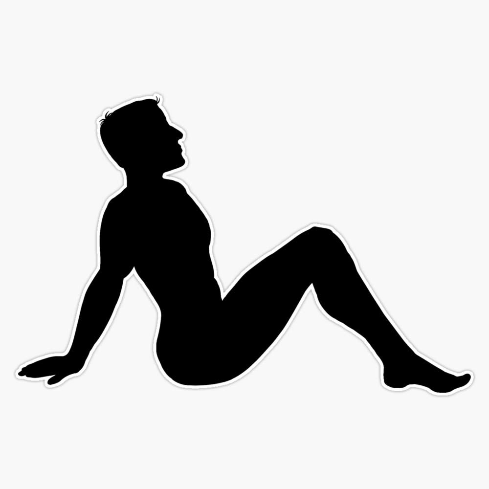 Premium Mudflap Girl Vinyl Bumper Sticker - 5