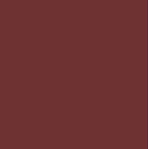 High Definition Lip Pencil - L6 Dark Brown | Long Lasting Waterproof Lip Liner | Perfect for Everyday Makeup & Special Occasions