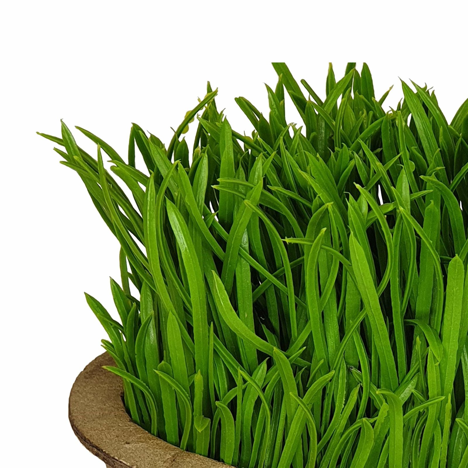 Premium 19cm Green Artificial Pot Plant by Criterion - Perfect for Home Decor, Office Spaces & Indoor Greenery