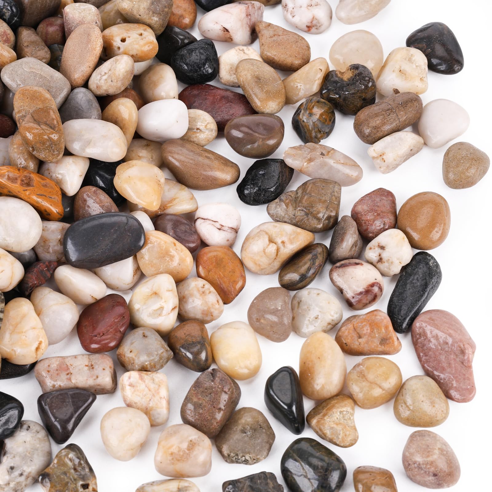 DomeStar 1Lb Natural Decorative River Pebbles - Small Gravel Stones for Potted Plants, Indoor Gardening, Terrariums & Home Decor | Perfect for Succulents, Vases & Aquascaping